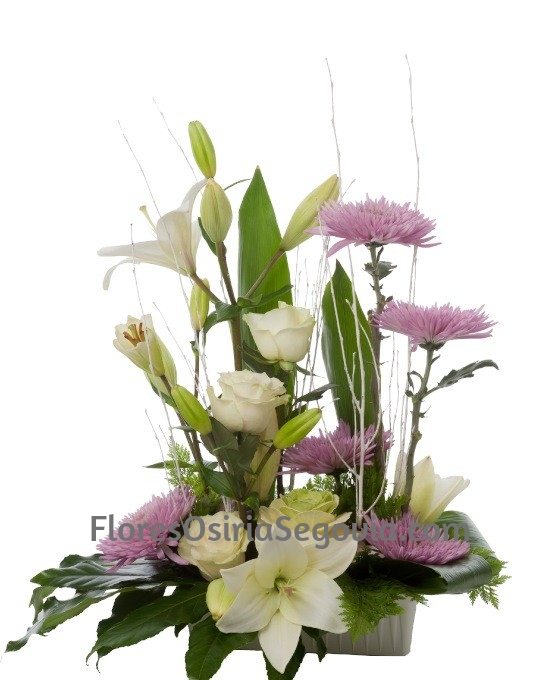 Centro Funerario Detalle