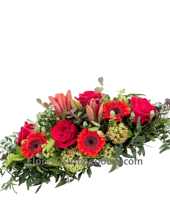 Centro Funerario Gerberas