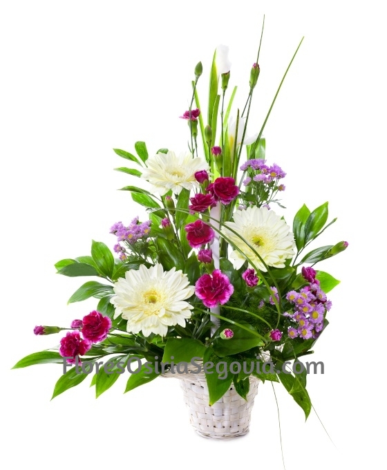 Centro de Flor Morada