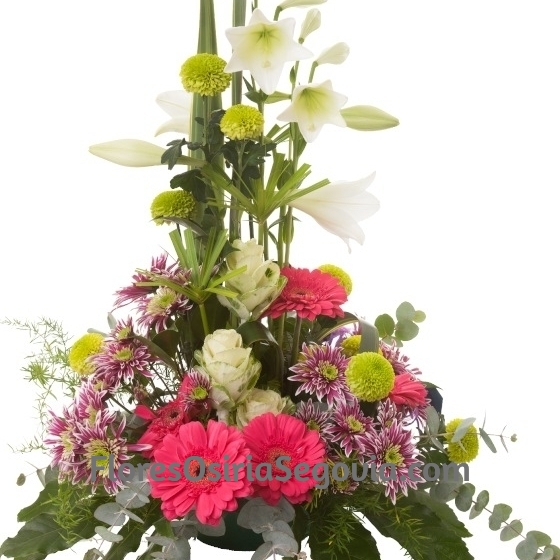 Centro de Flor