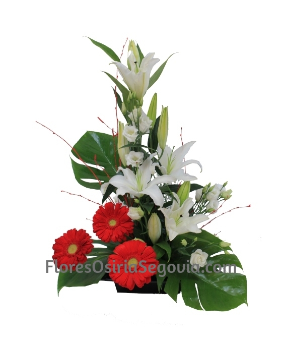 Centro de Flores Lilium