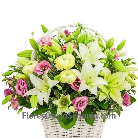 Cesta con Lilium