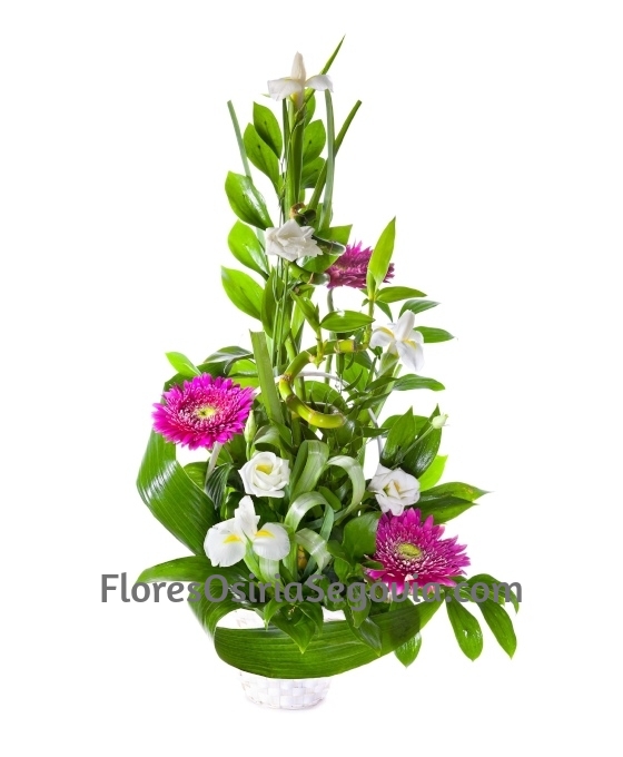 Cesta de Flor Bambú