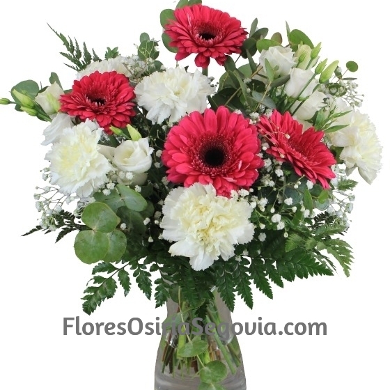 Ramo Clavel y Gerberas