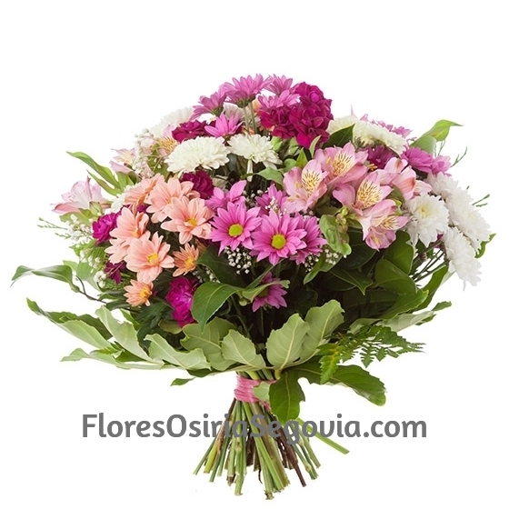 Ramo flores de color Morado
