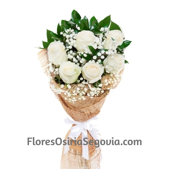 Ramo 6 Rosas Blancas