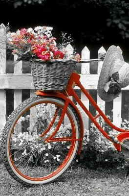 Centro Flores Rabat, Centro de Flores para Regalar, Floristería Online, Envíos Urgentes, Centro de Flores de Regalo, Floristería Osiria