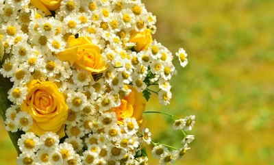 Ramo Flores Hungría, Comprar Flores Online, Floristerías en Segovia, Flores para Regalar, Floristería Online, Floristas Profesionales, Envío de Flores