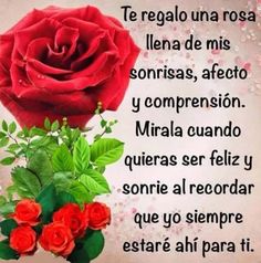 Ramo de 6 Rosas, Regalar Rosas, Ramos de Rosas para Regalo, Arte Floral, Envío de Arreglos Florales, Floristería Osiria, Floristería en Segovia