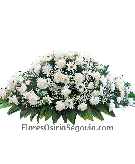 Centro blanco para tanatorio