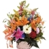 Cesta de Flores variadas