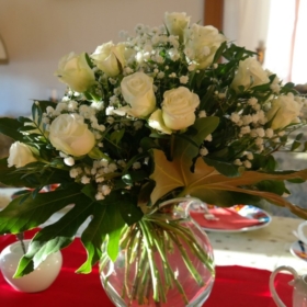 Rosas blancas