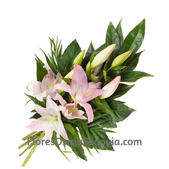 Ramo de lilium