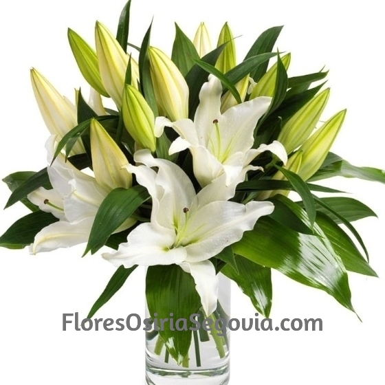 Jarrrón de cristal con liliums