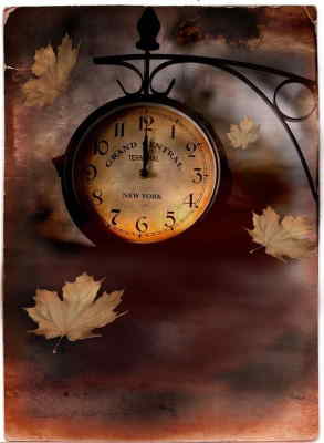 Planta Croton, Planta para Oficina, Planta de Decoración, Planta para Regalar, Comprar Flores Online, Floristería Online