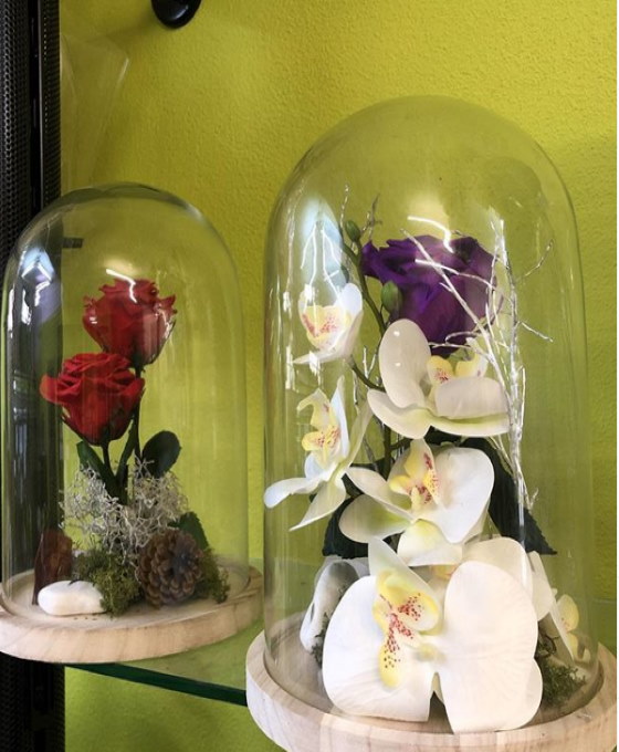 Cúpula Rosa Preservada