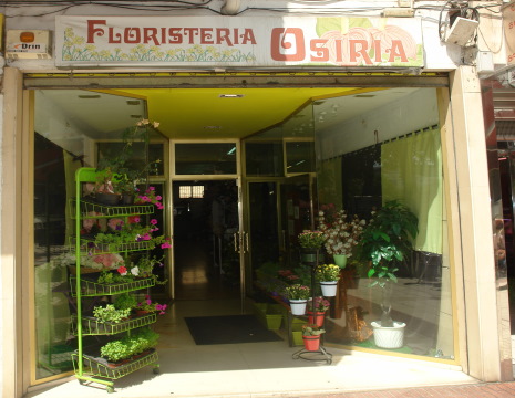 Floristería Osiria en Segovia con Envío a domicilio